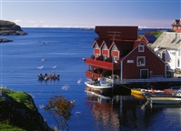 Nordic walking by Elin Sandal